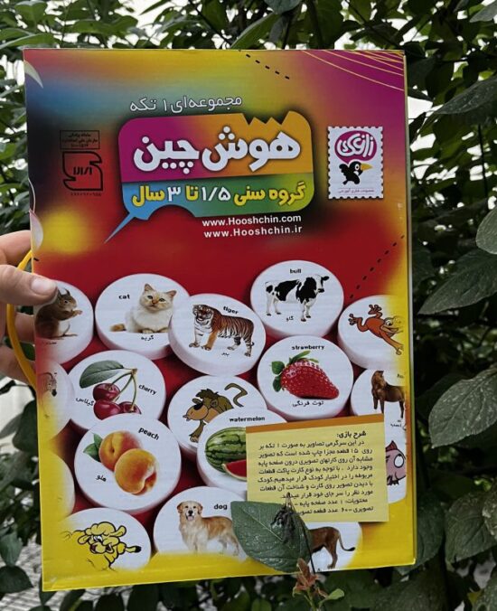 بازی فکری آموزشی هوش چین یک تکه زاغک